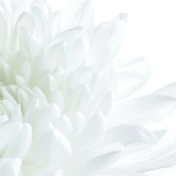 Illustration of consciousness